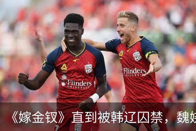 《嫁金钗》直到被韩辽囚禁，魏娆才明白，养母的心有多狠