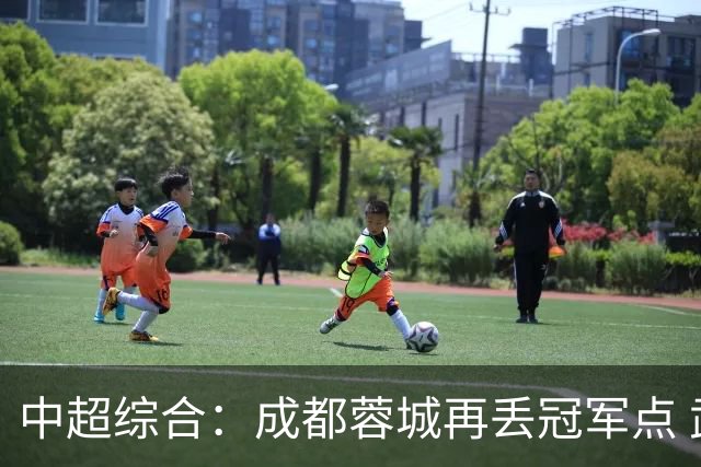 中超综合：成都蓉城再丢冠军点 武汉三镇降级