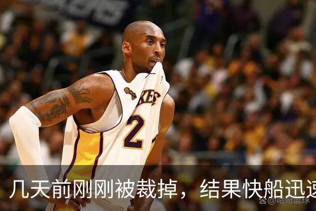 几天前刚刚被裁掉，结果快船迅速用一份双向合同签回了后场新星？