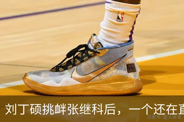 刘丁硕挑衅张继科后，一个还在直播，一个已受官方邀请出席比赛