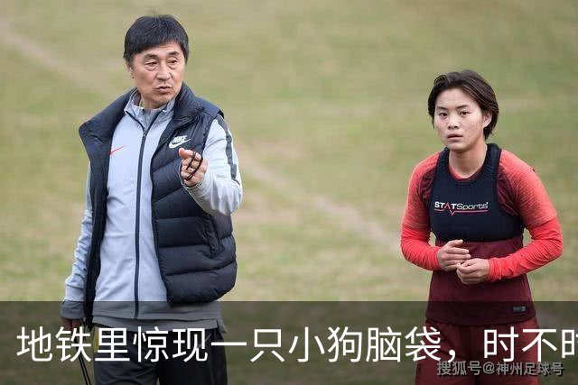 地铁里惊现一只小狗脑袋，时不时睁眼巡视，下一秒又困得睡过去了！