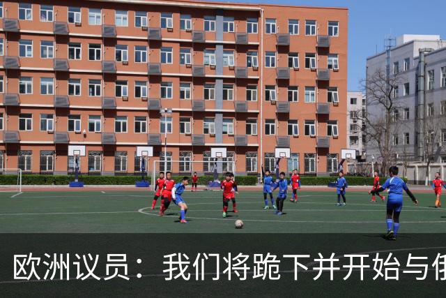 欧洲议员：我们将跪下并开始与俄谈判，这是我们自身愚蠢的结果